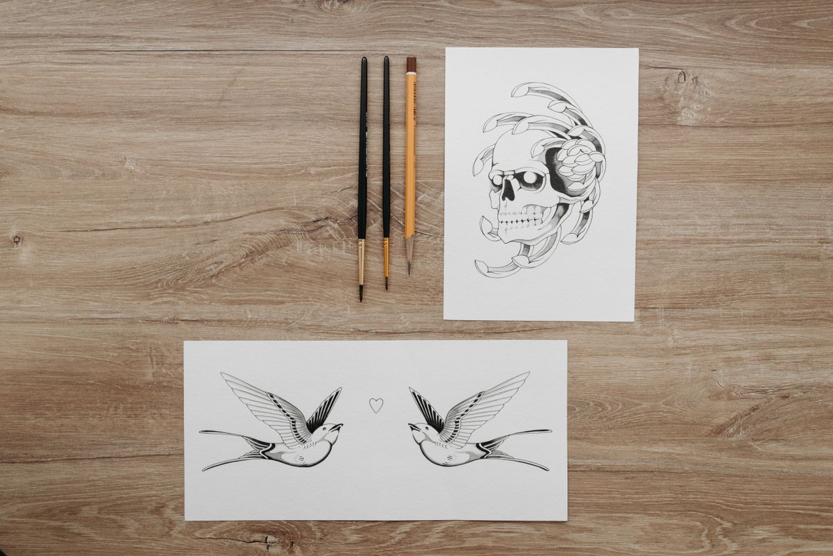 Traditional tattoo flash sketches featuring a skull and swallow design