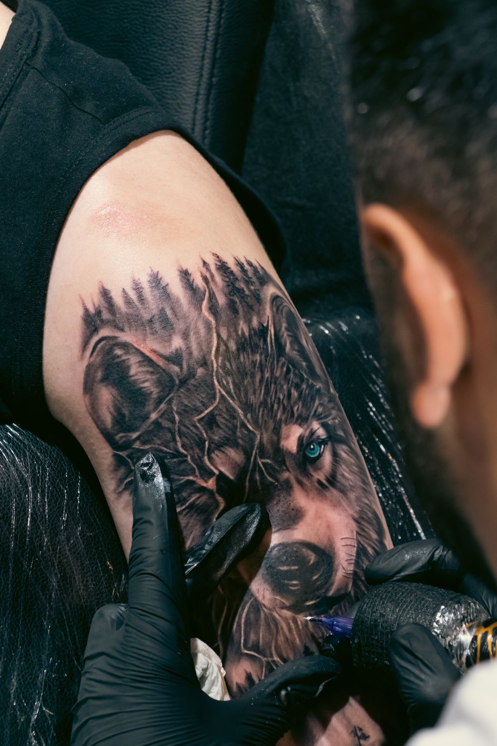 A black and grey realism wolf portrait tattoo being inked